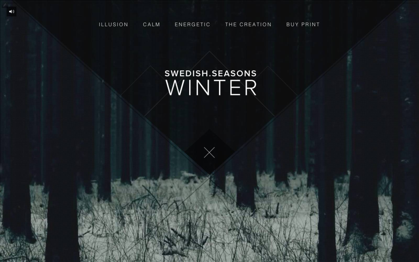 Swedish Seasons